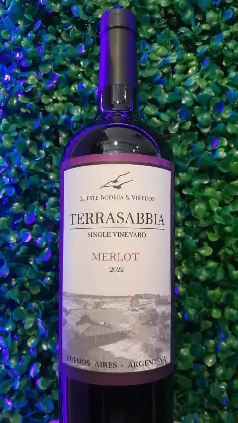Terrasabbia Merlot 2022