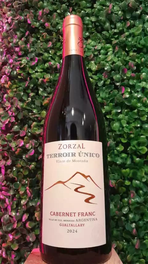 Zorzal Terroir Único vinos de montaña Cabernet Franc 2024