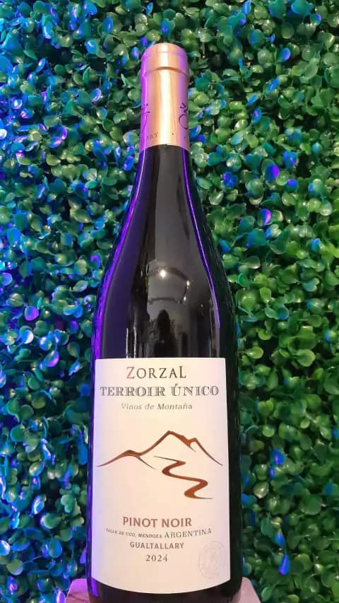 Zorzal Terroir Único vinos de montaña Pinot Noir