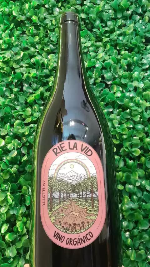 Rie la Vid Vino Orgánico Ancellota