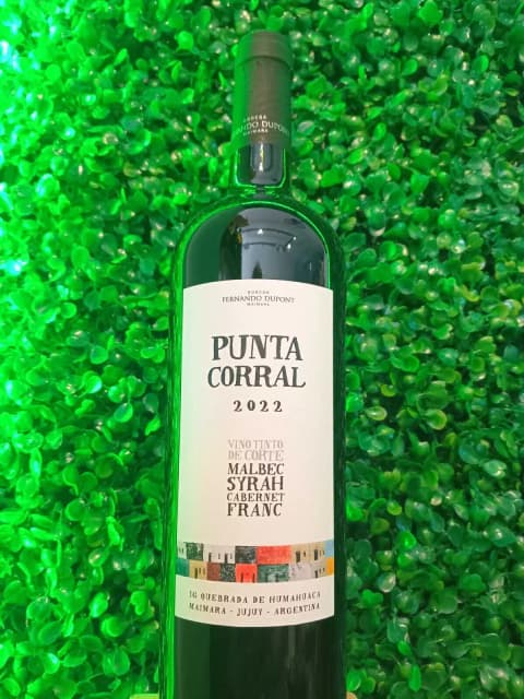 Punta Corral 2022 Vino Tinto de Corte (Malbec, syrah y cabernet franc)