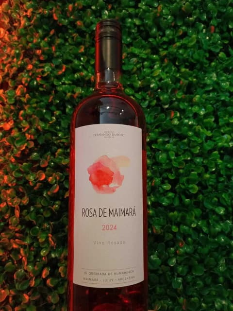 Rosa de Maimará Rosado