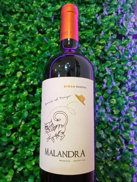Malandra Syrah Reserva Spirit of tango