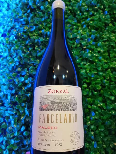 Zorzal Parcelario Malbec Bodega Zorzal Wines (Mendoza)