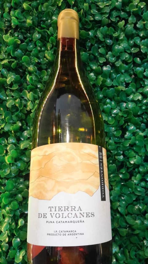Tierra de Volcanes Torrontés 2023