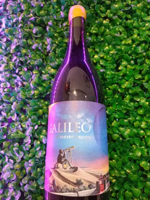 Galileo Viñedo Lejano Tempranillo 2021