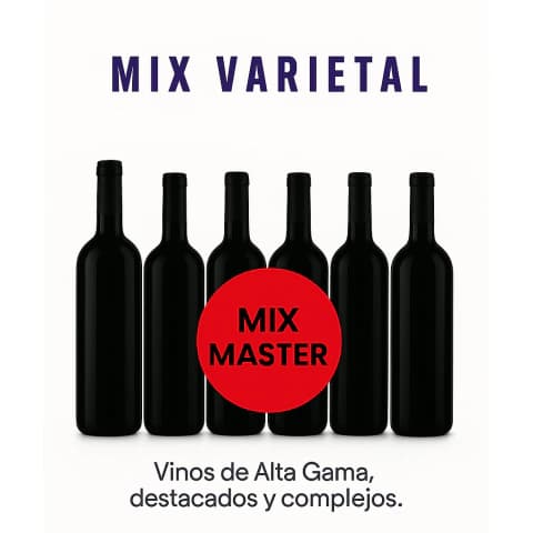MIX MASTER X 6 UNIDADES