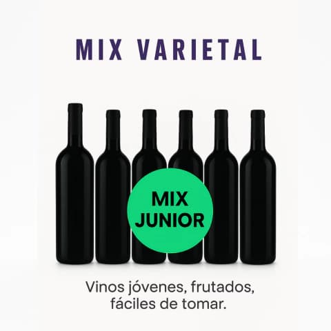 MIX JUNIOR X 6 UNIDADES