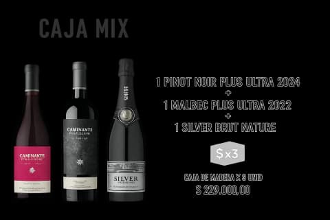 CAJA DE MADERA MIX CAMINANTE PLUS ULTRA CHARDONNAY; PINOT NOIR y MALBEC - (copia)