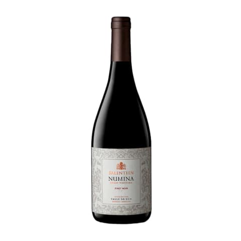 SALENTEIN NUMINA PINOT NOIR