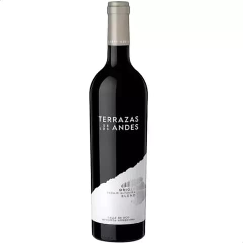 TERRAZAS DE LOS ANDES PARAJE ALTAMIRA 2021