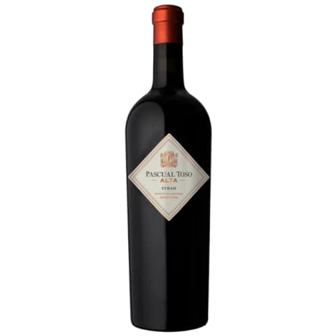 BODEGA TOSO ALTA SYRAH