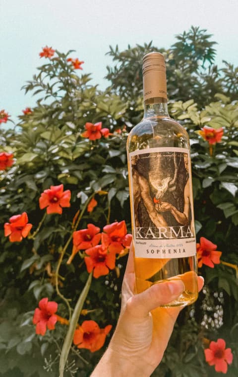 Karma Blanc de Malbec