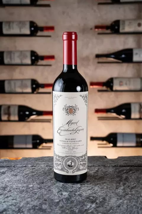 MIGUEL ESCORIHUELA FINCA CEPILLO