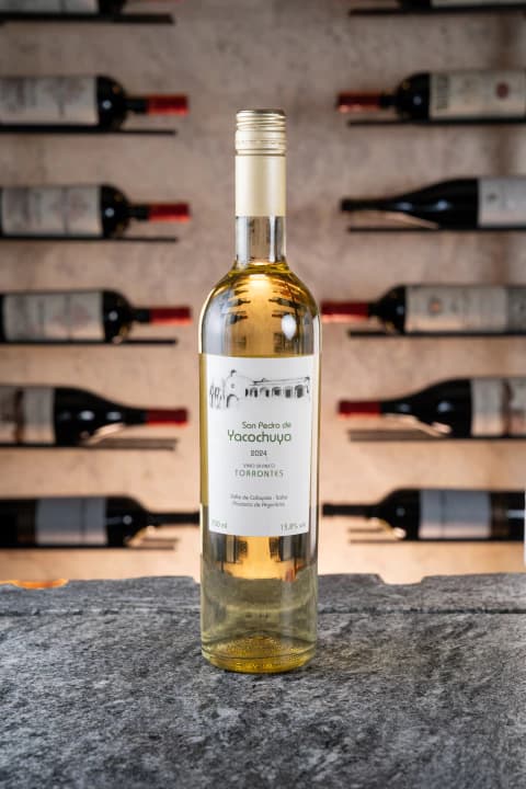 SAN PEDRO TORRONTES