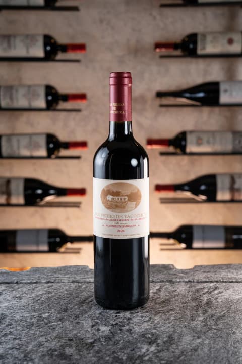 SAN PEDRO TINTO