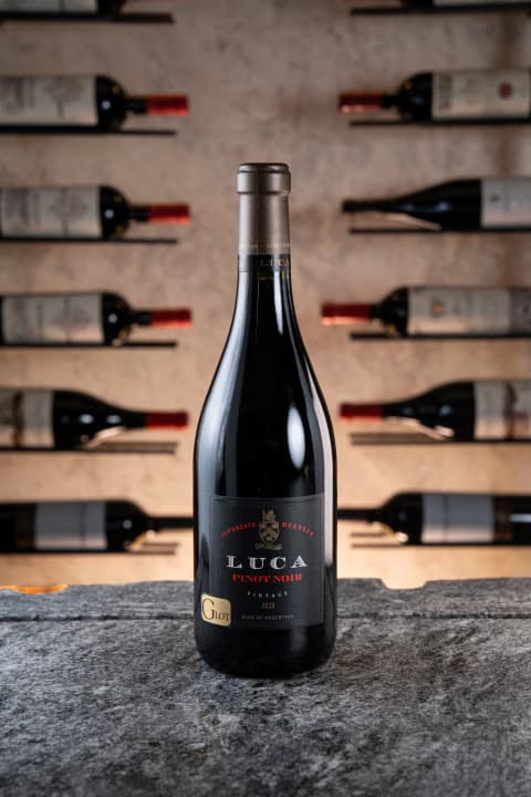 LUCA PINOT
