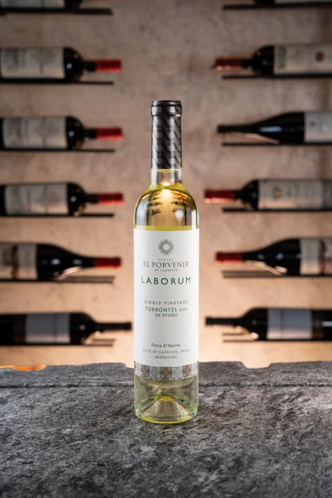 LABORUM TORRONTES