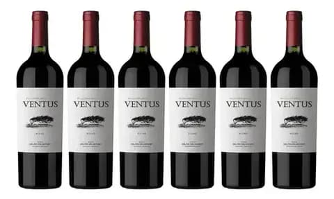 Vino Ventus Red Blend Fin Del Mundo X750cc Caja X6