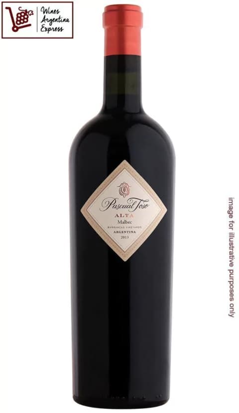PASCUAL TOSO ALTA MALBEC