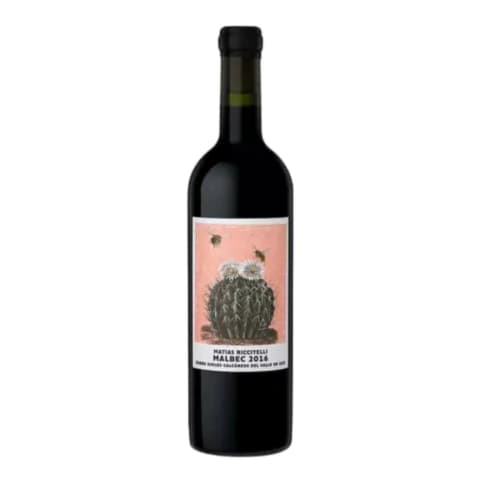 Riccitelli Guatallary Malbec Valle De Uco