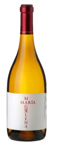 SOTTANO MARIA MAGDALENA CHARD