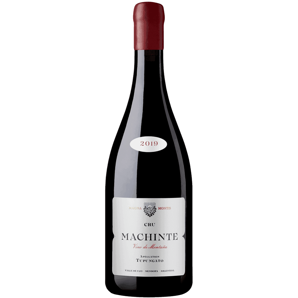 Cabernet Franc San Pablo