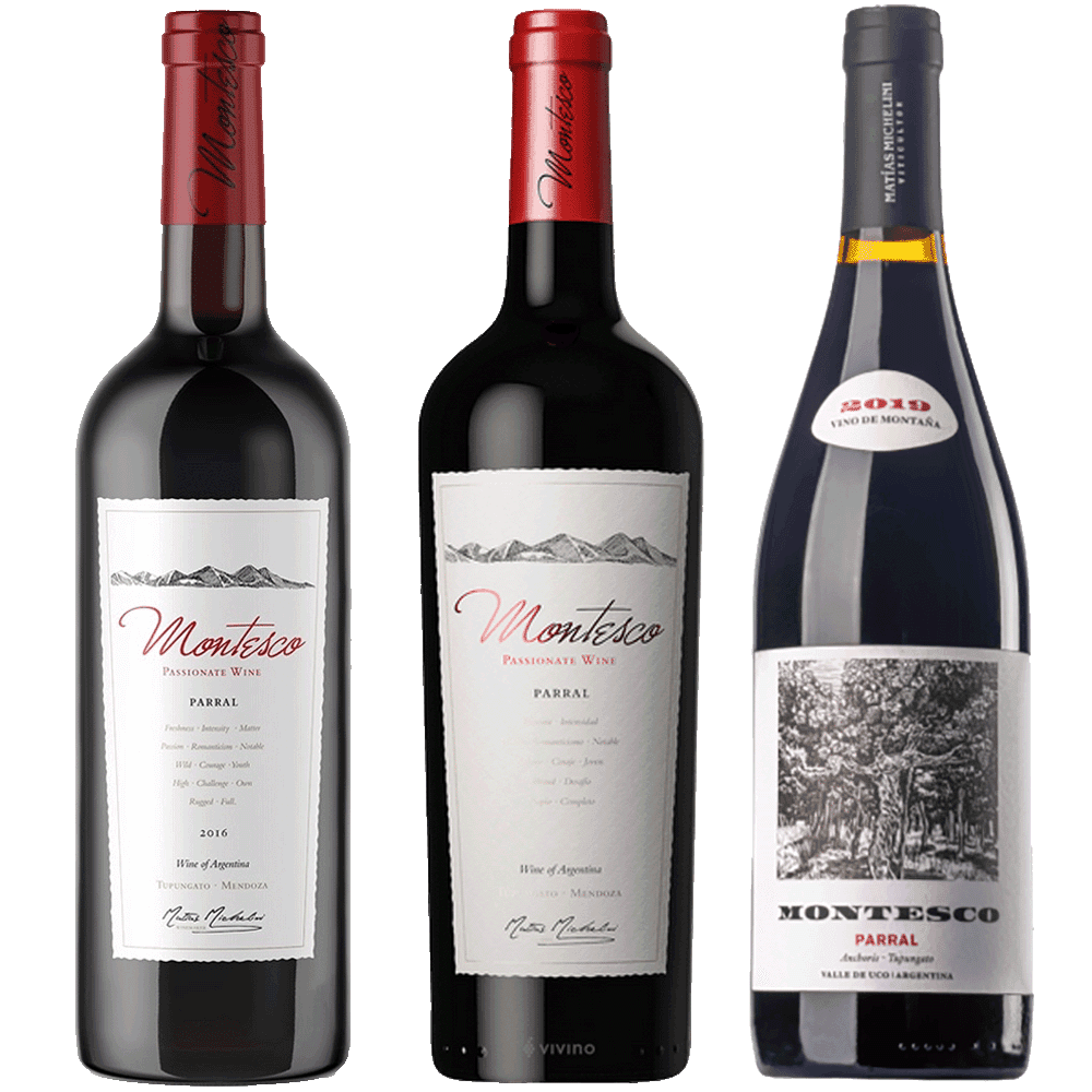 Selección Vertical Montesco Parral 2016 · 2017 · 2019