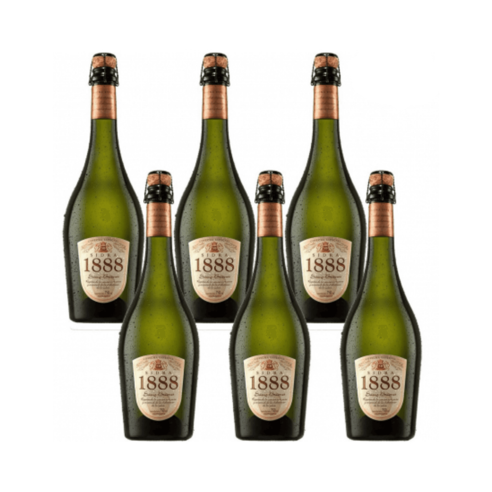 Sidra 1888