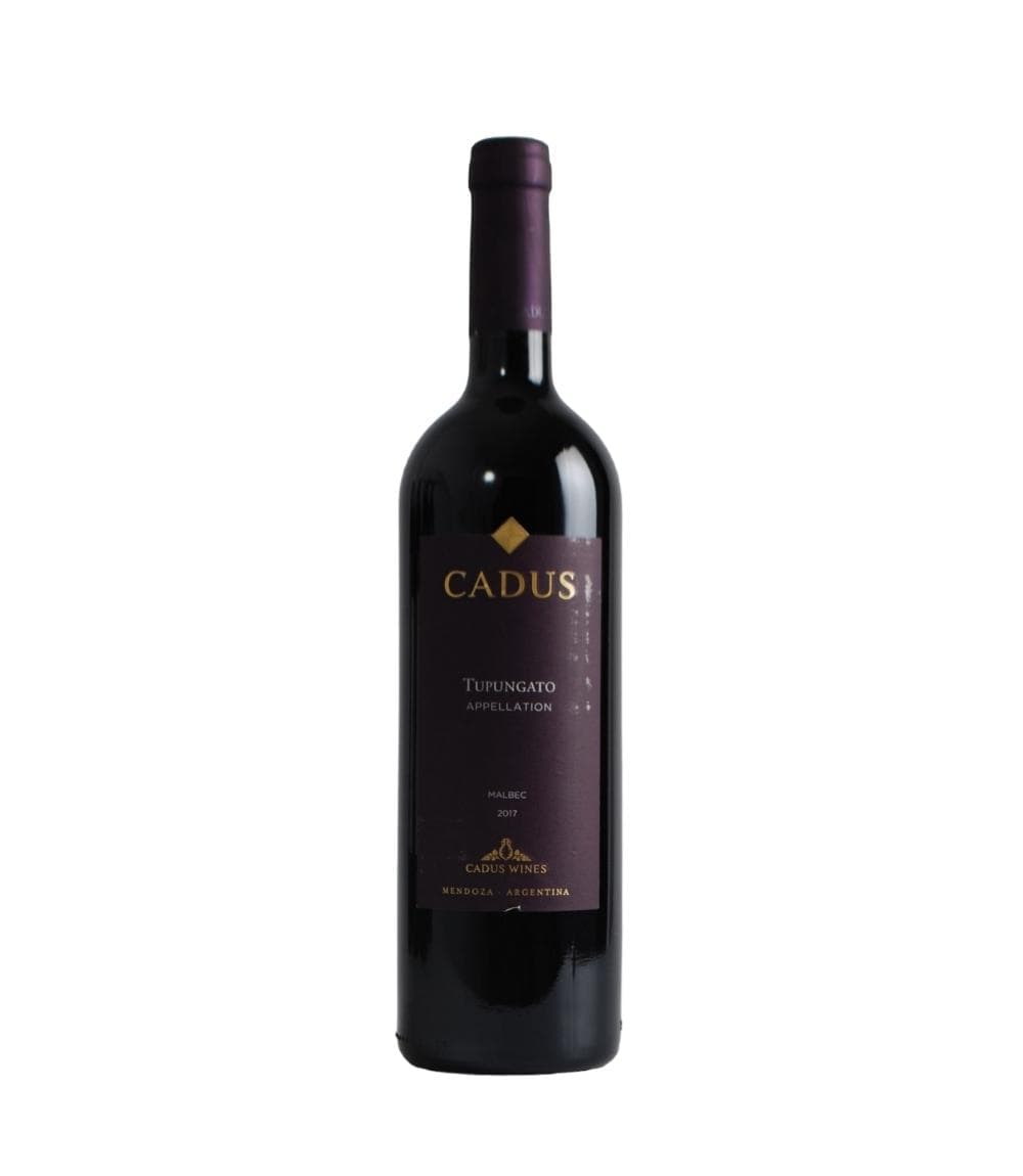 Appellation Tupungato Malbec