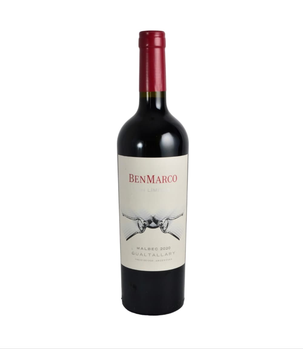 BenMarco Sin Límites Malbec Gualtallary