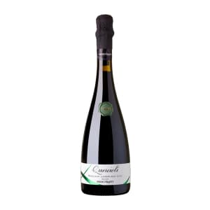 Medici Quercioli Reggiano Lambrusco Doc Dry 750