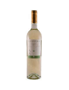 Coquena Torrontes