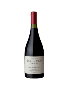 Polígonos Paraje Altamira Malbec