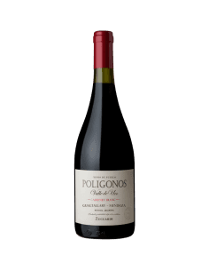 Zuccardi Poligonos Gualtallary Cabernet Franc 750 ml