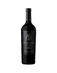 Finca Sophenia Antisynthesis Parcela Rio Seco 750 ml