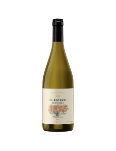 Old Vines Torrontes