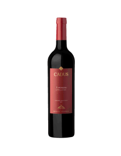 Appellation Tupungato Cabernet
