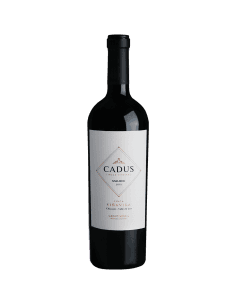 Finca Viña Vida Malbec