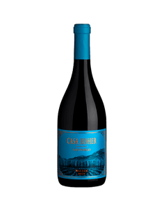 Malbec San Pablo