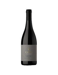 Appellation Tunuyán Pinot noir