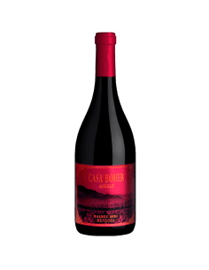 Malbec Agrelo