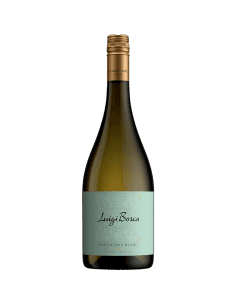 Sauvignon Blanc