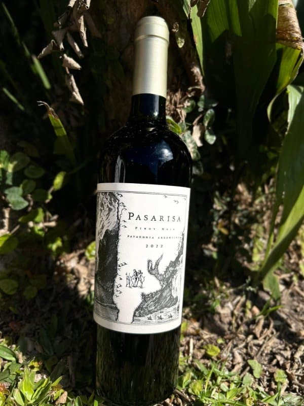 Pasarisa Pinot Noir 2022
