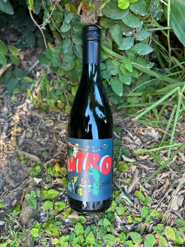 Antro Bonarda Tutu Wines