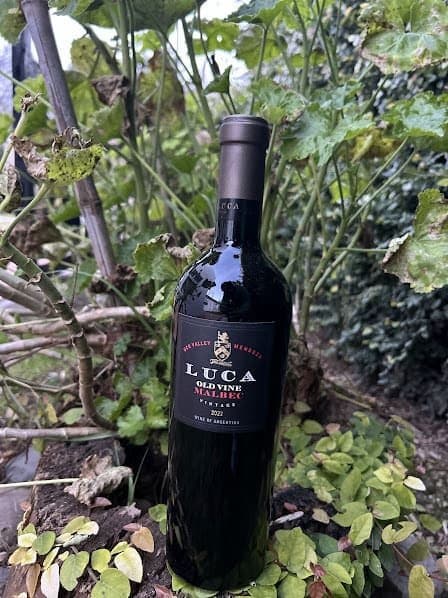 Old Vine Malbec