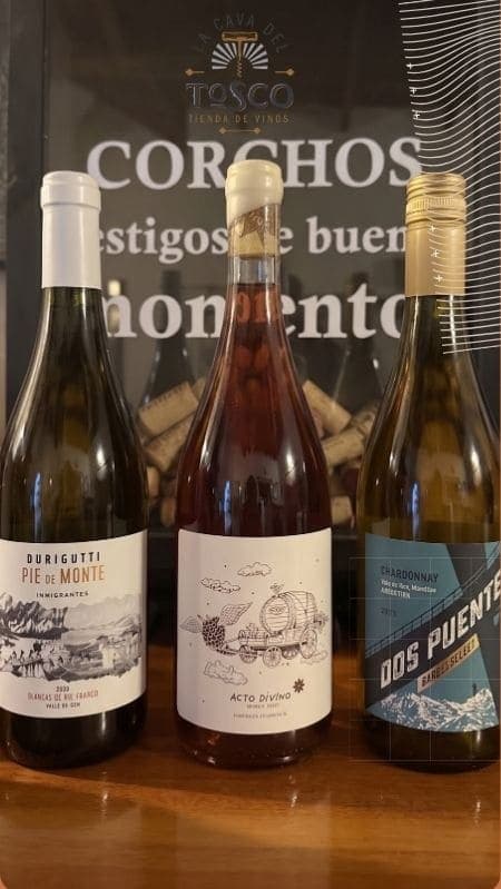 Selección de Septiembre – Combo Variadito | Animate a Descubrir Estilos Nuevos